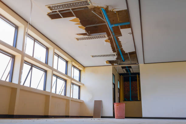 Best Water damage restoration process  in Malone, FL