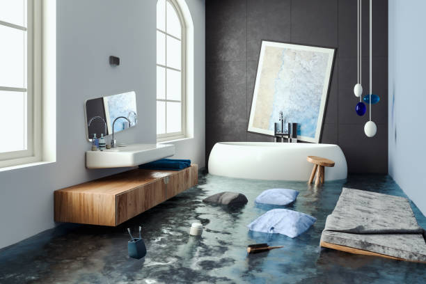 Best Water damage restoration company  in Malone, FL