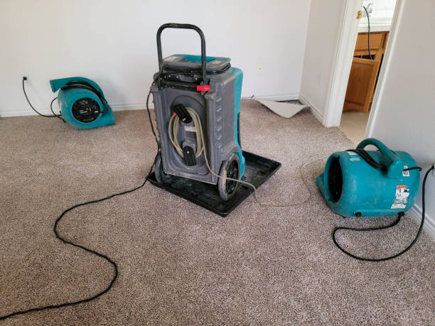Best 24-hour water damage restoration  in Malone, FL