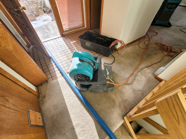 Water damage restoration process in FL