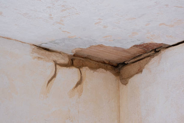 Local water damage restoration in FL