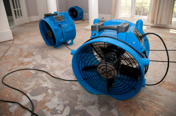 Best Fire Damage Restoration  in Malone, FL
