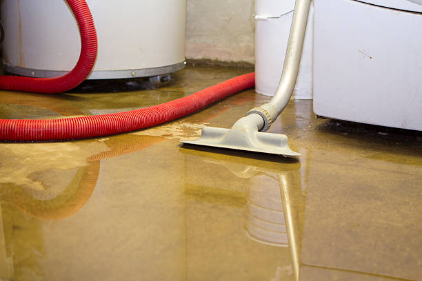 Best Water damage restoration near me  in Malone, FL