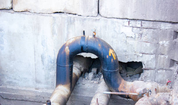 Best Professional water damage repair  in Malone, FL