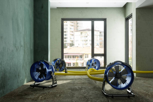 Best 24/7 water damage repair  in Malone, FL