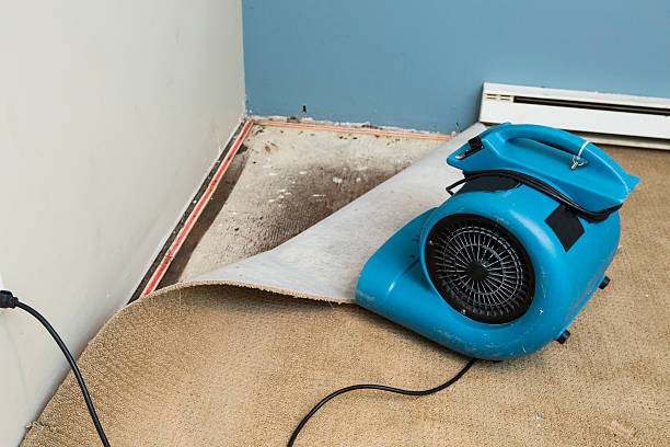 Best Flooded house restoration  in Malone, FL
